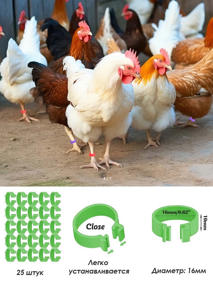 Кольца для маркировки домашней птицы пластиковые цветные 16 мм 25штук.