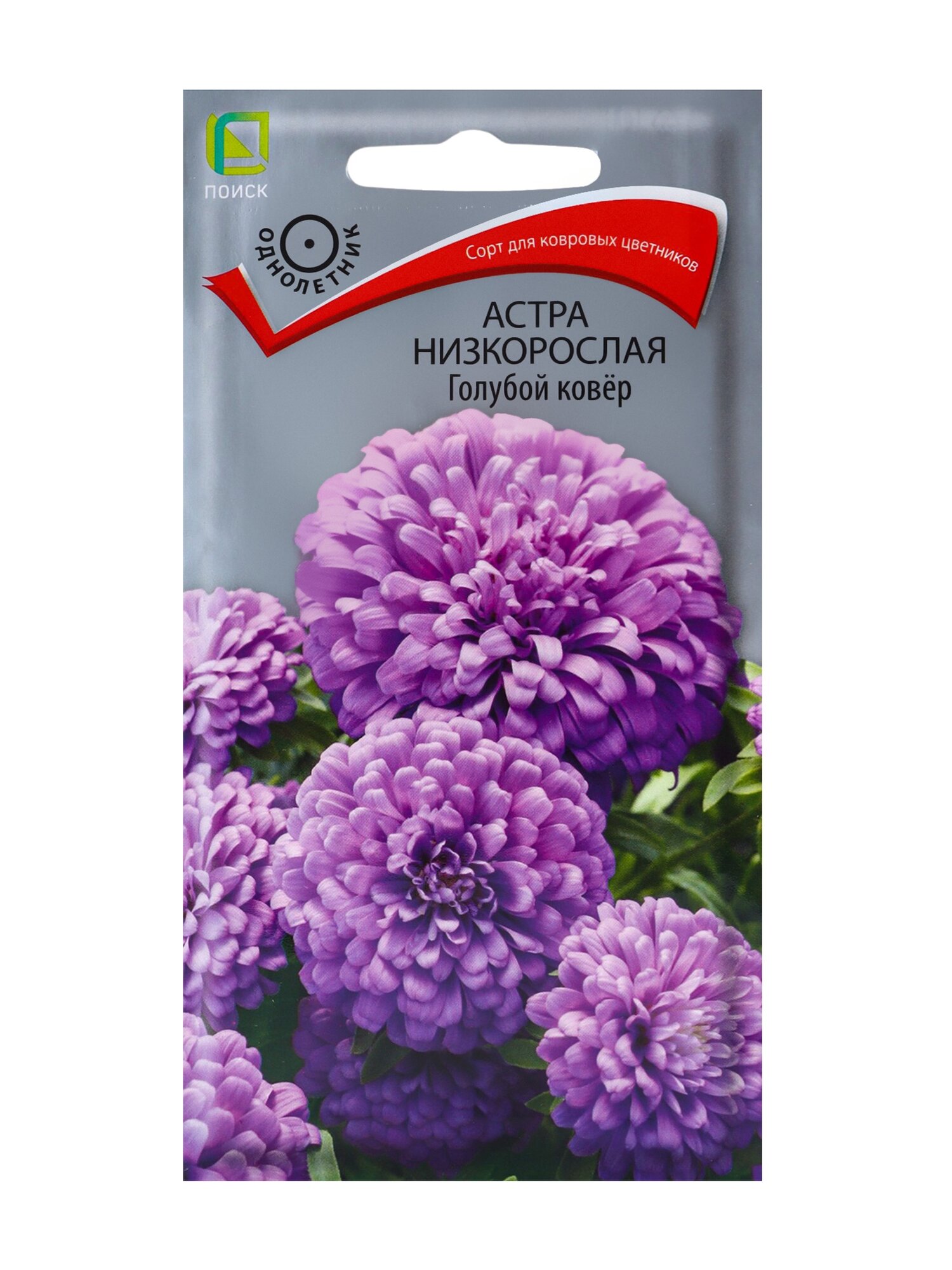 Семена цветов Астра низкорослая 