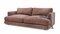 розовый cilium coral
