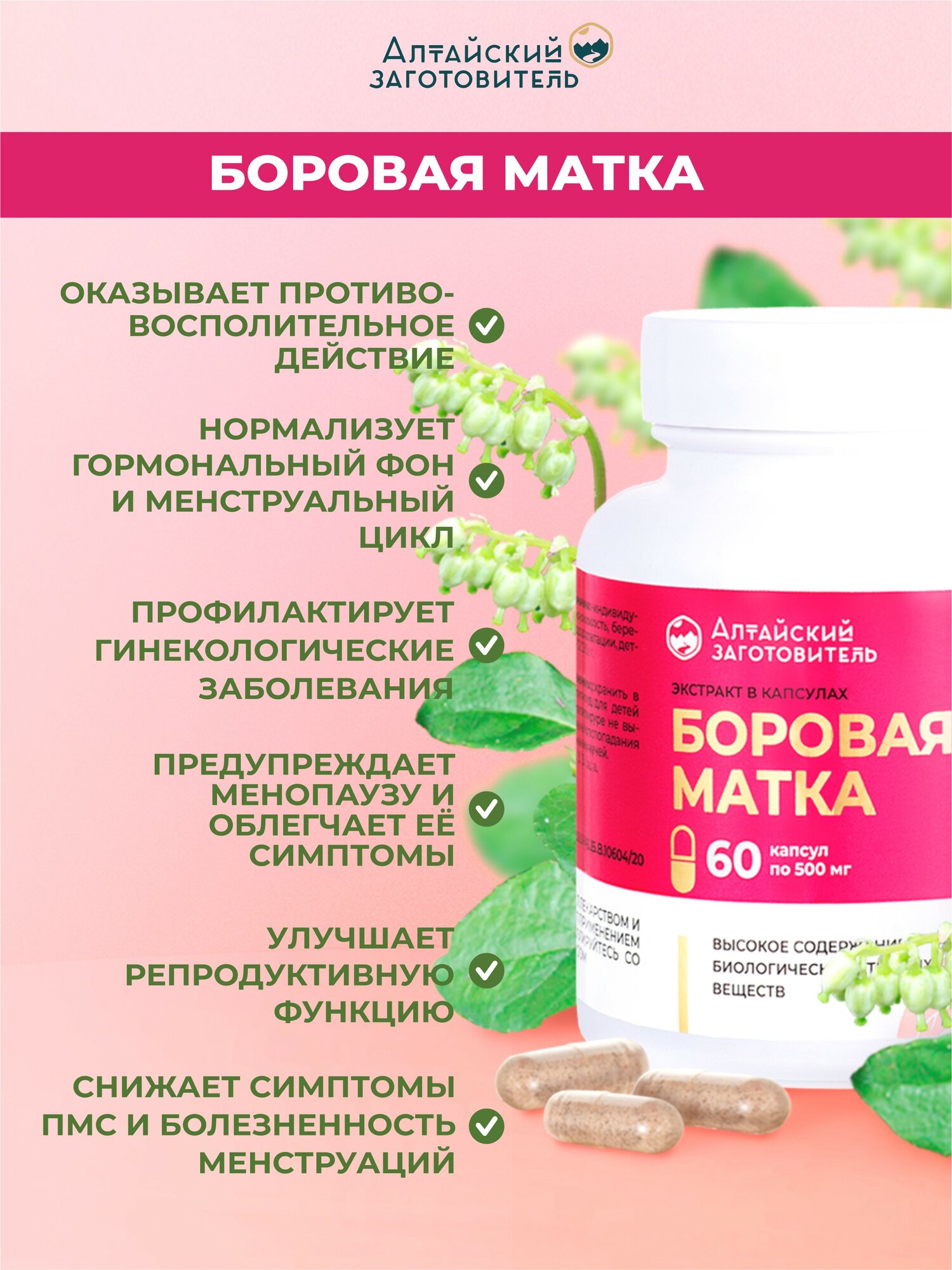 Изображение Боровая матка и Красная щётка капсулы 500 мг, 2 банки по 60 шт. - Алтайский заготовитель