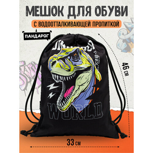 Мешок для обуви для мальчика