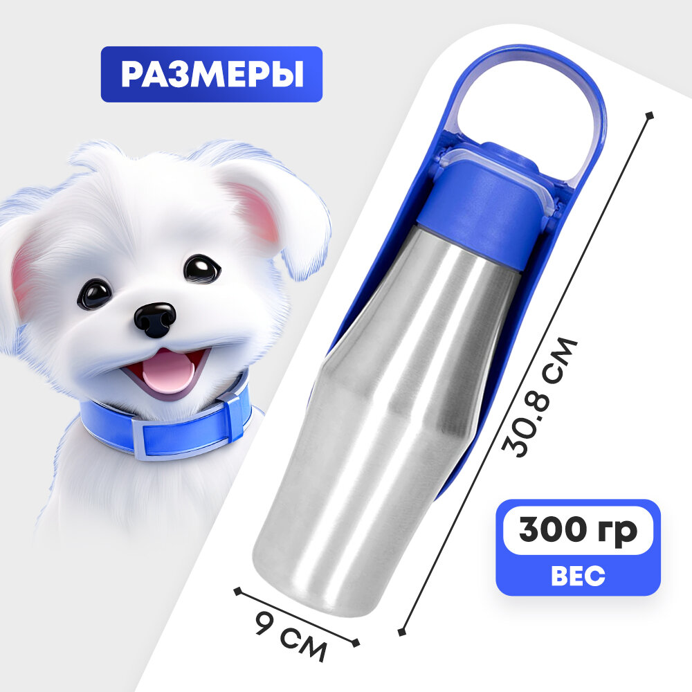 Π‘ΡΠ°Π²Π½Π΅Π½ΠΈΠ΅ ΡΠ°Π·ΠΌΠ΅ΡΠΎΠ² ΠΏΠΎΠΈΠ»ΠΊΠΈ Ρ Π»Π°ΠΏΠΎΠΉ ΡΠΎΠ±Π°ΠΊΠΈ ΡΡΠ΅Π΄Π½Π΅ΠΉ ΠΏΠΎΡΠΎΠ΄Ρ