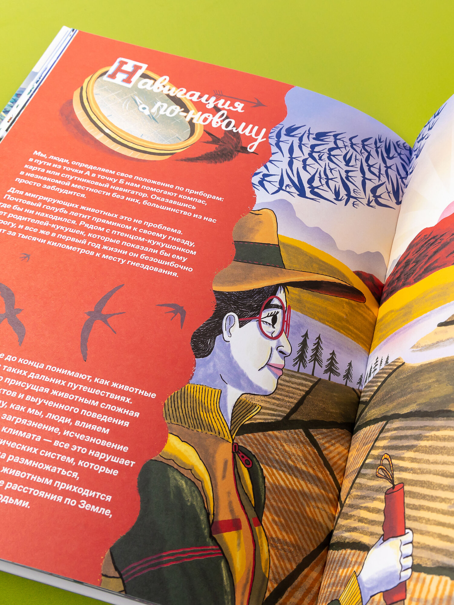 Невероятные странствия животных : навигация и миграция по воздуху, суше и морю - фото №8