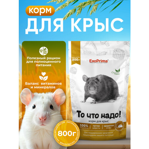 Корм для крыс Exoprima "То что надо!", зерновая смесь, 800 гр