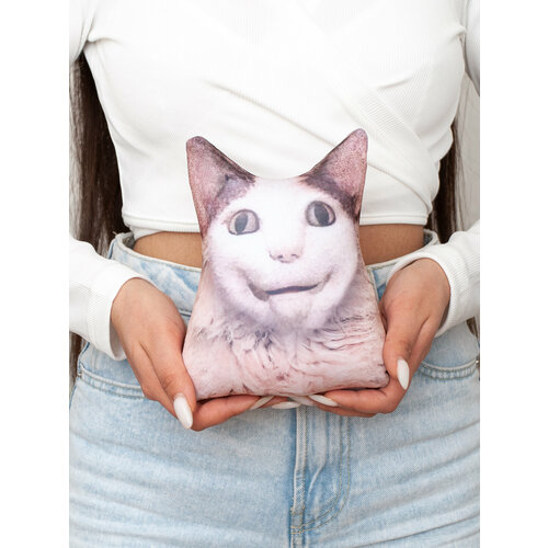 фото Мягкая антистресс мини игрушка-подушка нескучные вещи кот мем "кот друг"