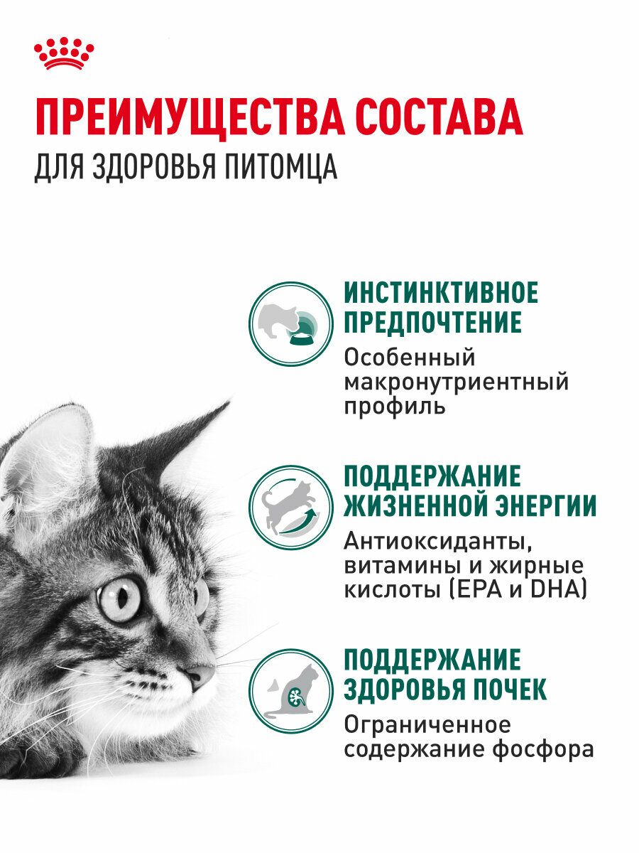 Royal Canin INSTINCTIVE 7+ (ИНСТИНКТИВ 7+) Корм консервированный полнорационный для кошек в возрасте старше 7 лет, мелкие кусочки в соусе, 28шт по 85 г — фото 1