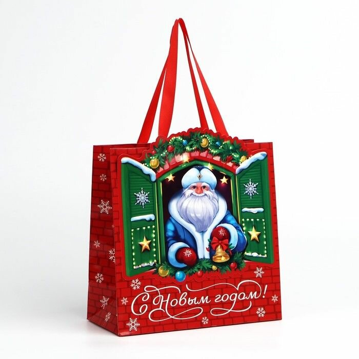 Пакет подарочный Дедушка Мороз , 22 х 22 х 10 см , Новый год