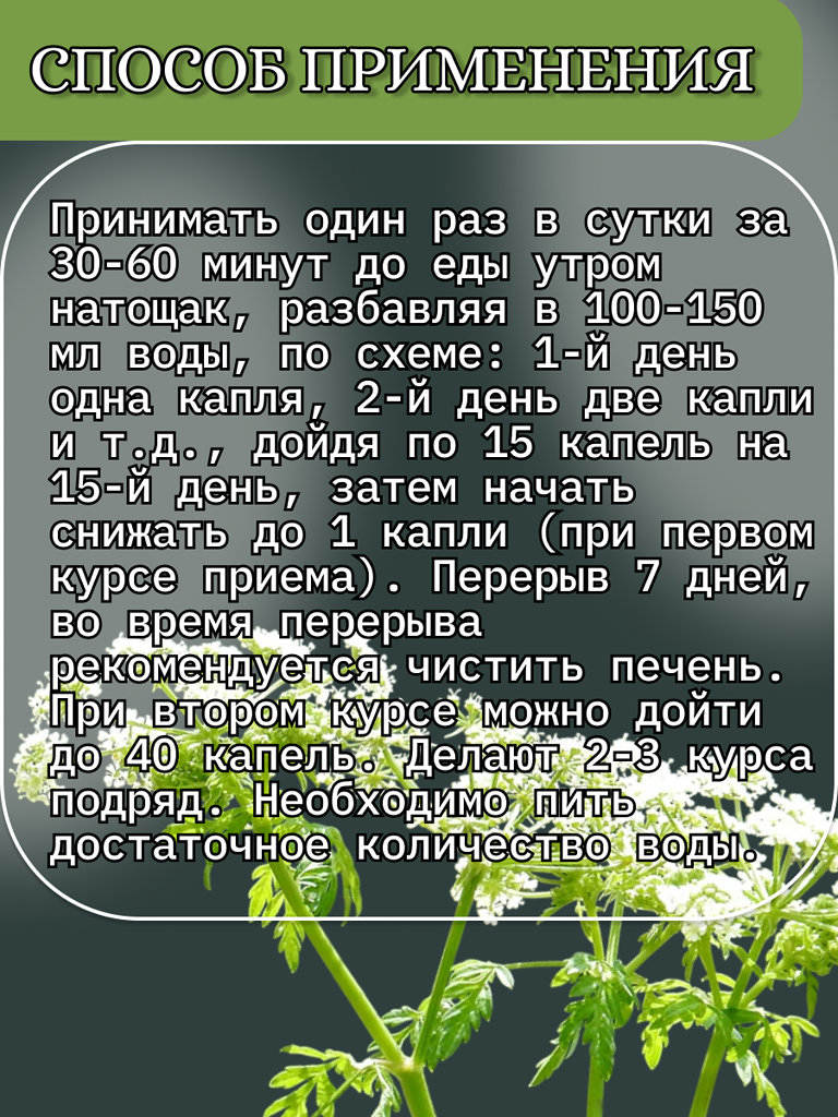 Изображение Настойка болиголова "Благодея-Алтай" 100 мл, пластиковая бутылка