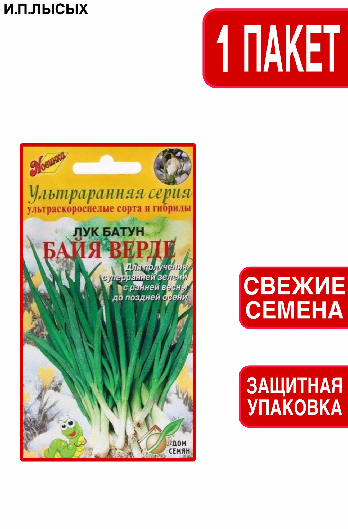 Семена Лук 