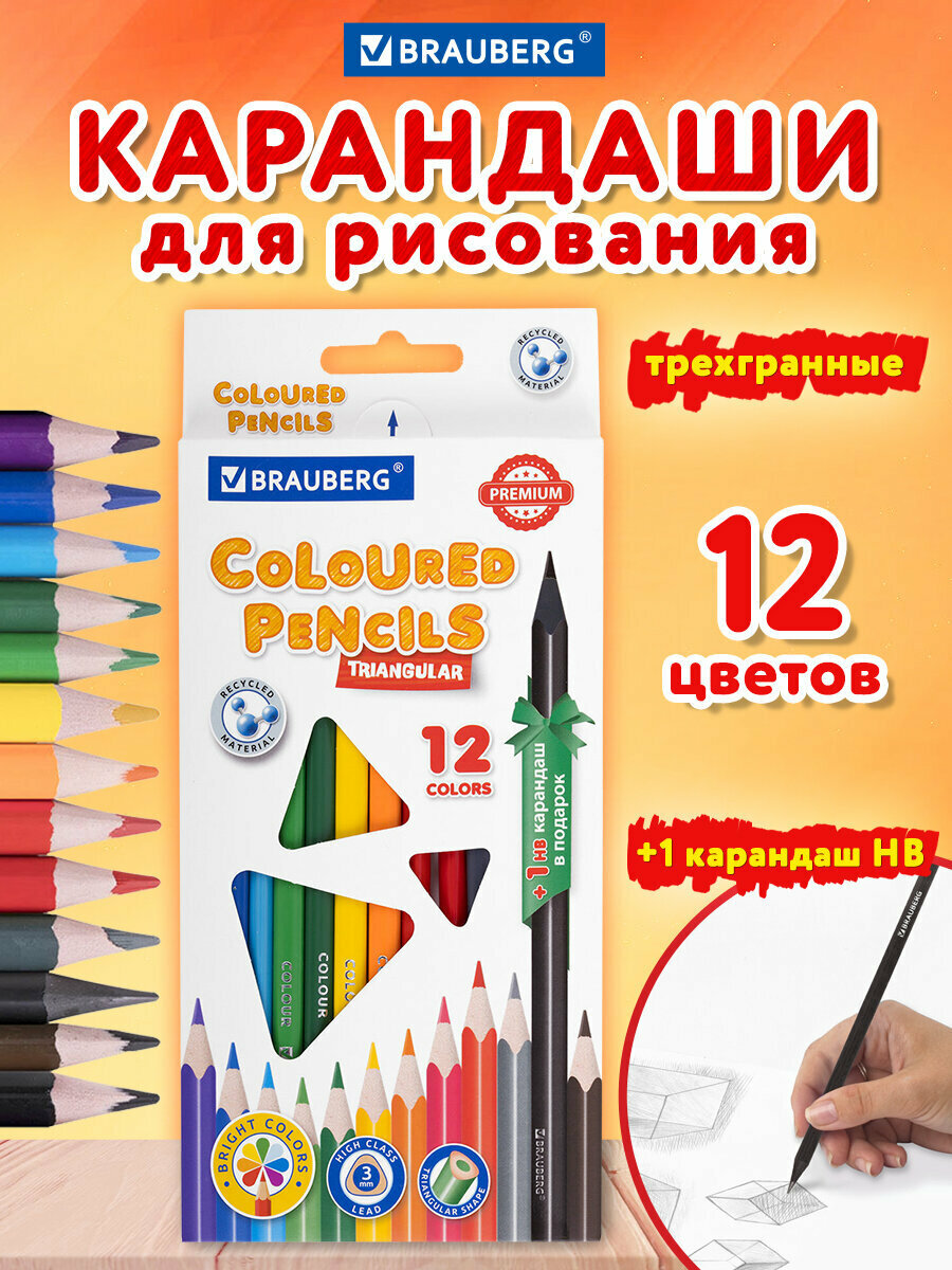 Карандаши цветные художественные для рисования пластиковые, Brauberg Premium 12 цветов + 1 чернографитный карандаш, трехгранный корпус, грифель 3 мм, 181936