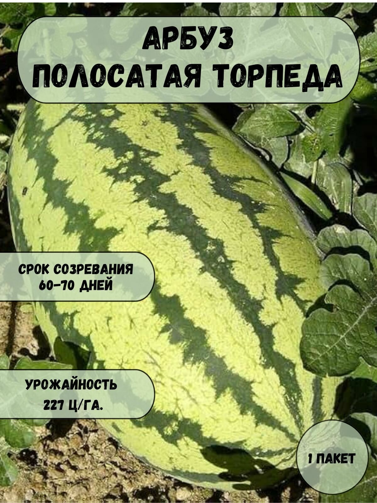 Арбуз Полосатая Торпеда F1 семена 10 шт