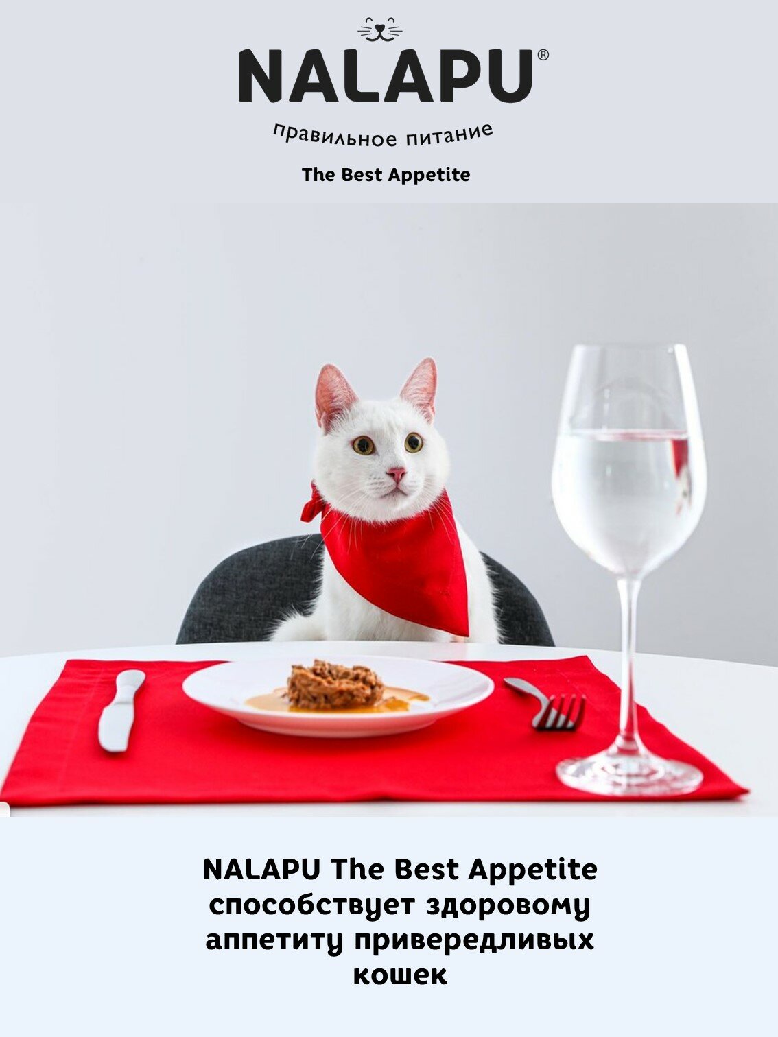 Корм для кошек влажный NALAPU с плохим аппетитом, сочные кусочки с мясом телятины в нежном соусе, 12 шт. по 77г — фото 1