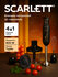 Погружной блендер Scarlett SC-HB42M45