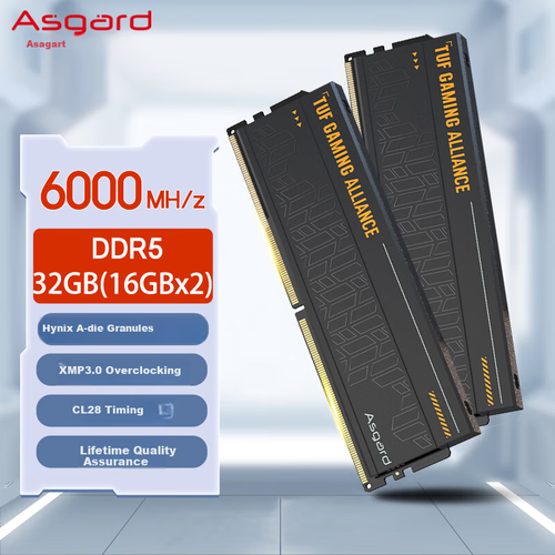 Asgard 32GB (16GBx2) Kit DDR5 6000 Desktop Memory Module Heimdallr