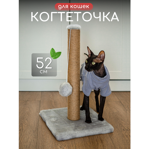 Когтеточка для кошки напольная