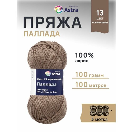 фото Пряжа для вязания astra premium 'паллада', 100г, 100м (100% акрил) (13 коричневый), 3 мотка