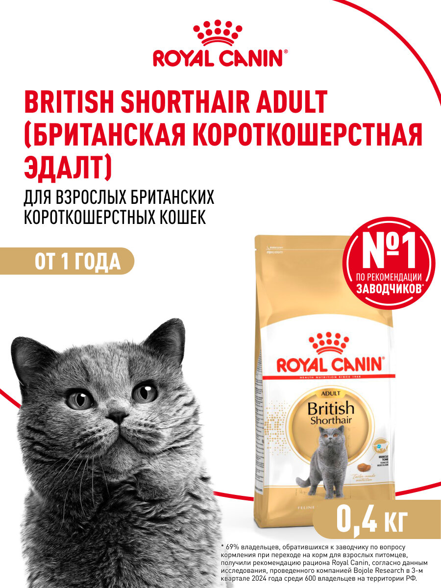 Картинки Сухой корм для кошек Royal Canin Adult для британской породы, 0,4 кг