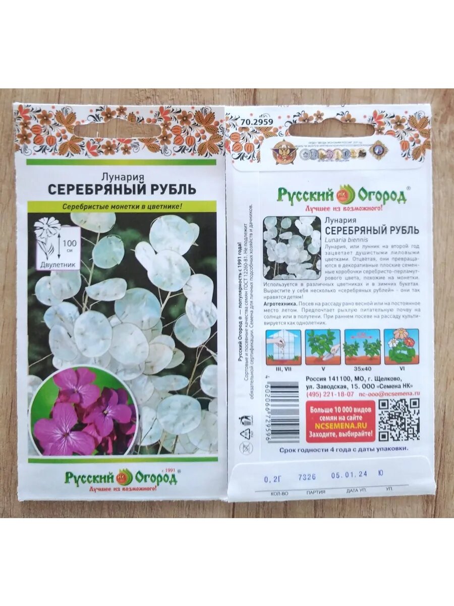 Сухоцвет Лунария Серебряный рубль