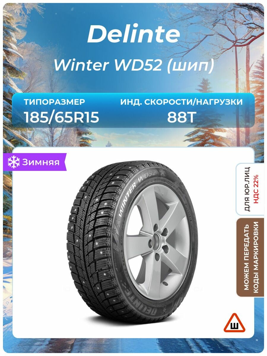 Шина Delinte Winter WD52