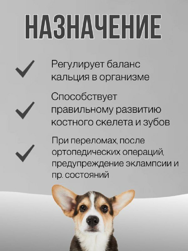 Кальций пептид Silver Track, для собак, для зубов, костей и суставов, 20 г для собак от 5кг — фото 1