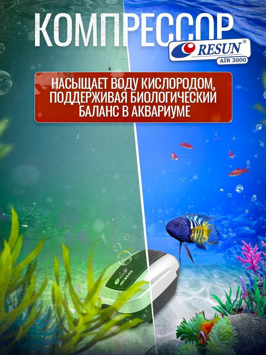 Изображение Компрессор для аквариума двухканальный RESUN AIR 3000 до 250Л