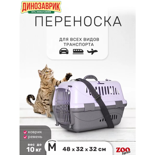 Переноска для животных Zooexpress Турне M с пластиковой дверцей (коврик + ремень) 48*32*32 см фиолетовая