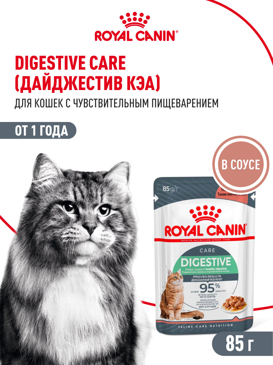 Картинки Влажный корм для кошек Royal Canin Digestive Care при чувствительном пищеварении, кусочки в соусе, 28 шт по 85 г