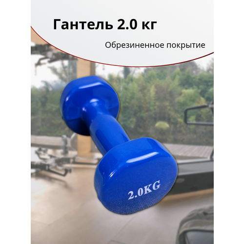 Гантель 2,0 кг, виниловое покрытие, синие.