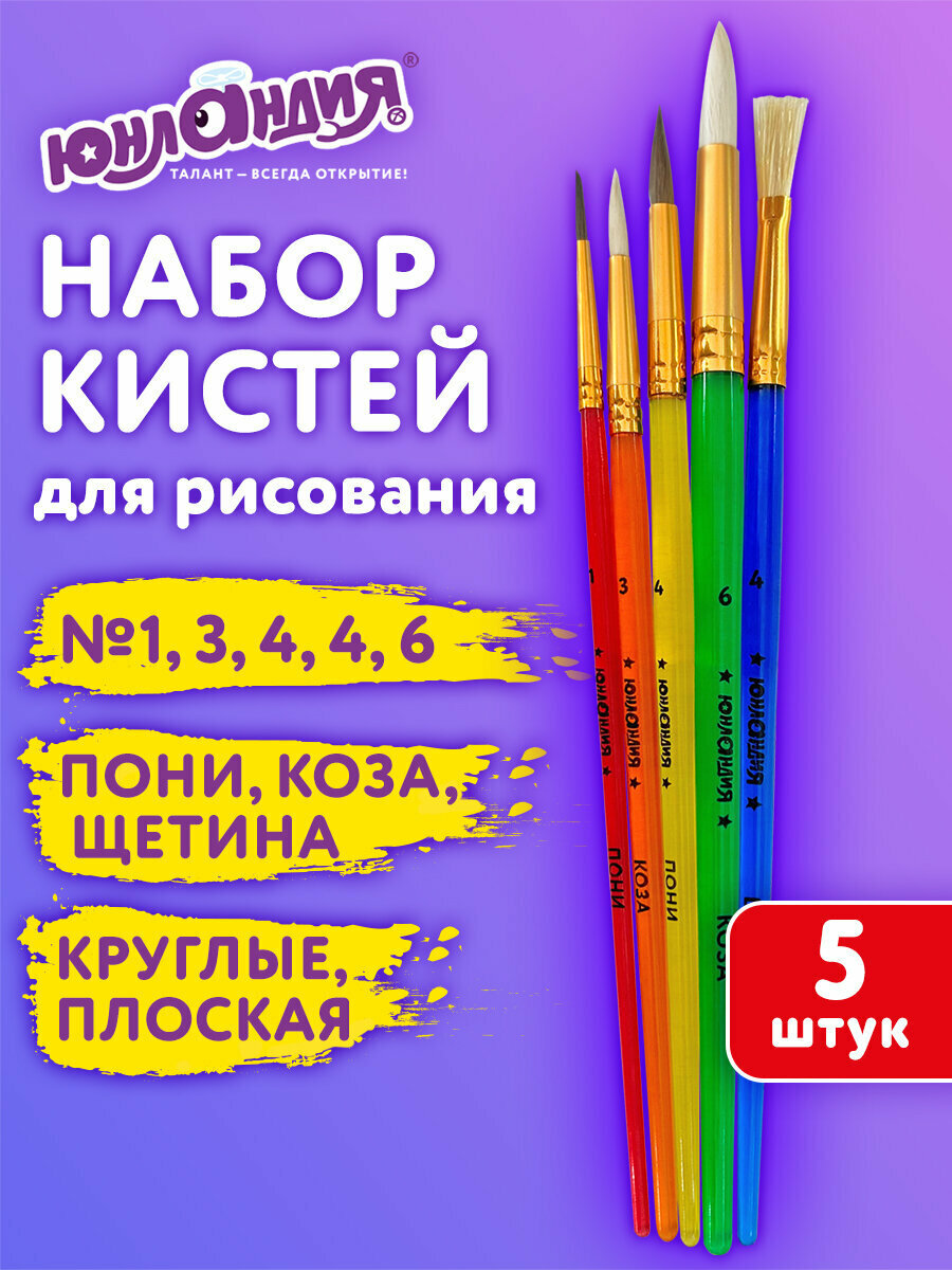 Кисти для рисования в школу набор 5 штук кисточки круглые и плоские коза щетина пони Юнландия 201079