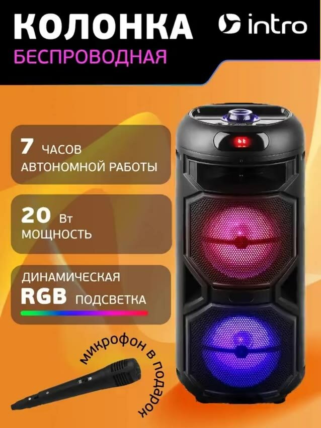 Колонка блютуз беспроводная Intro WZ810 музыкальная большая караоке с микрофоном и радио, Bluetooth 5.0, microSD — фото 1