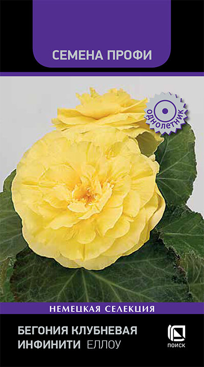 Бегония клубневая "Инфинити Еллоу", Поиск, однолетник, 7 клубней