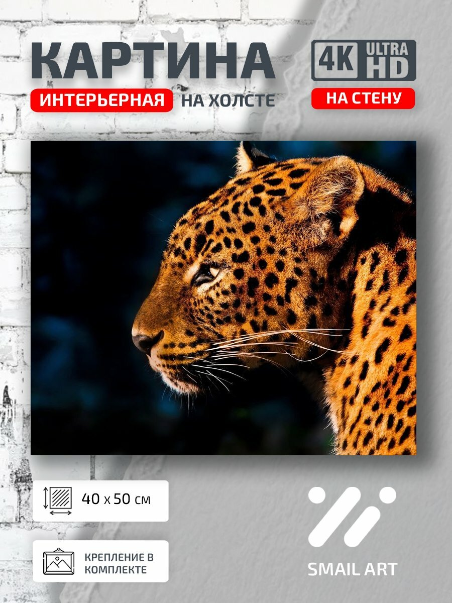 Картина на холсте интерьерная 40 на 50 на стену Усы Mood для гостиной атмосфера интерьер