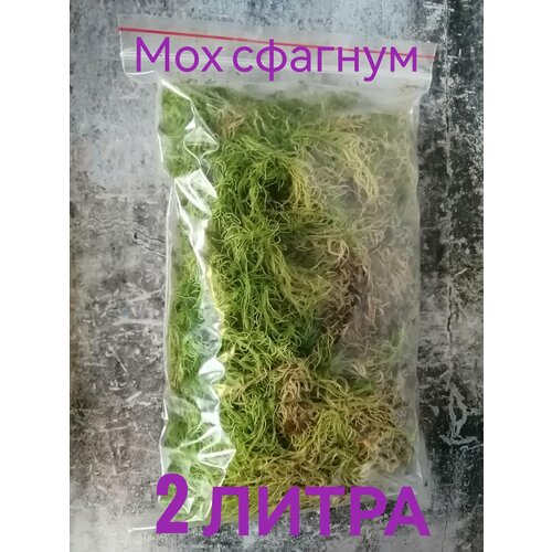 Мох сфагнум свежий 2 литра 420₽