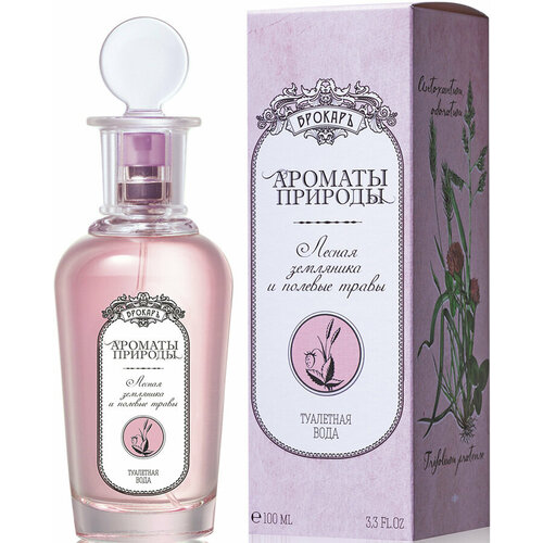 Ароматы Природы Лесная Земляника и Полевые Травы жен. т. в. 100 мл