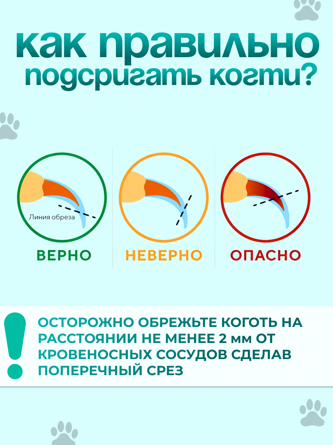 Когтерез-ножницы с ограничителем для кошек и собак малых пород, секатор-кусачка для стрижки когтей животных, груминг — фото 1
