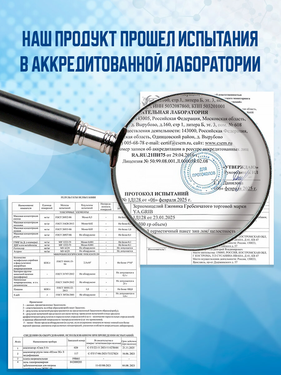 Изображение Ежовик гребенчатый (ежевик) 100% мицелий, 120 капсул по 500 мг, для мозга и иммунитета
