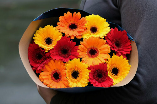 Изображение товара Букет из 11 гербер