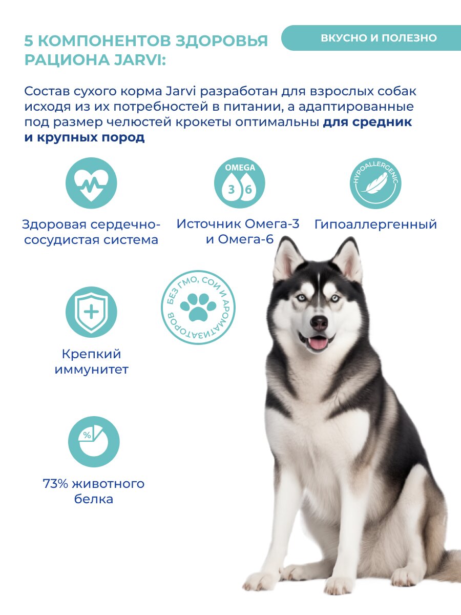 Jarvi сухой монопротеиновый полнорационный корм для взрослых собак средних и крупных пород (Говядина, 1,5 кг.) - фото №5