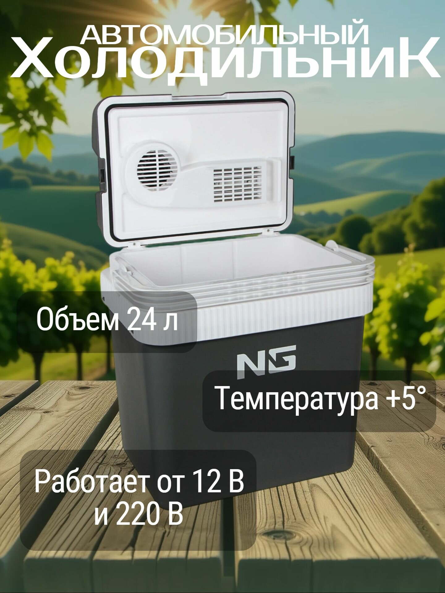 Холодильник автомобильный NEW GALAXY NG, термоэлектрический, 24л, 12/220V, серый