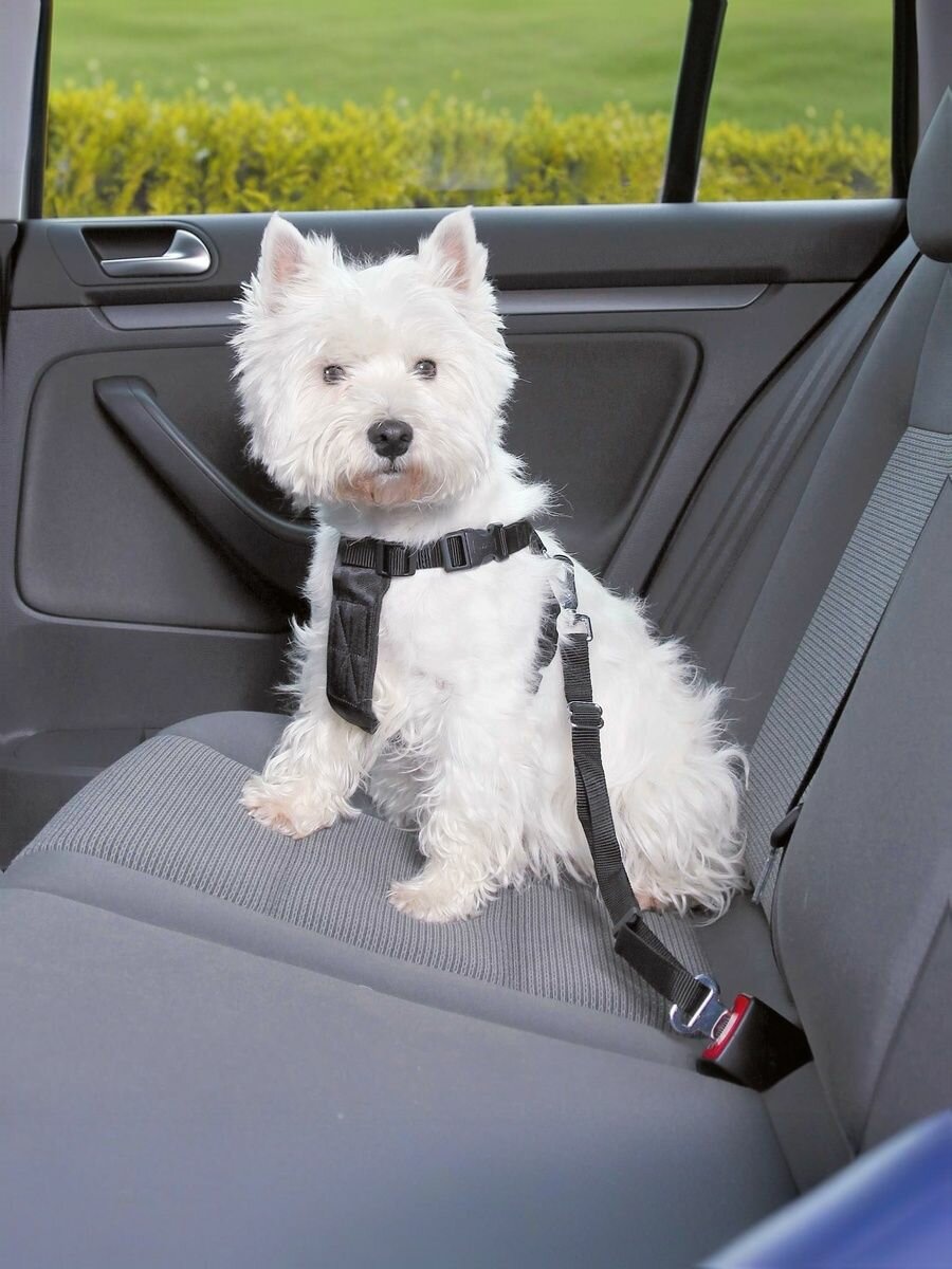 Trixie А/м ремень безопасности со шлейкой для собак 20-50 см