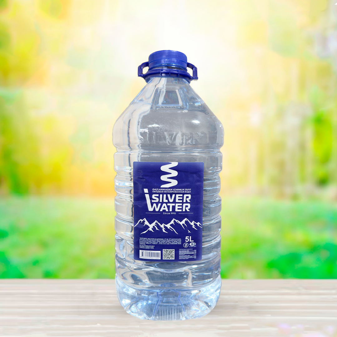 Серебряная Вода SilverWater, природная, негазированная, 5 литров