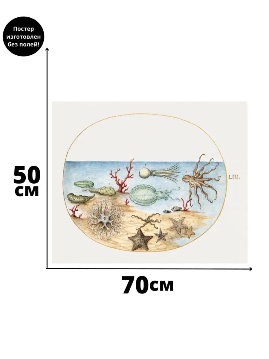 Постер в морском стиле ретро рисунок, 70 x 50 см, бумага, без рамы
