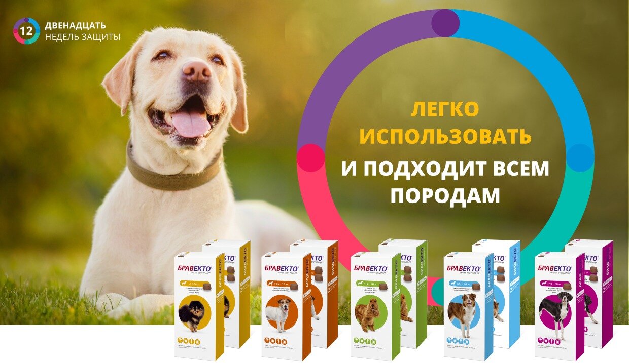MSD Animal Health таблетки от блох и клещей Бравекто таблетки для очень крупных пород для собак от 40 до 56 кг 1 шт. в уп., 1 уп. — фото 1