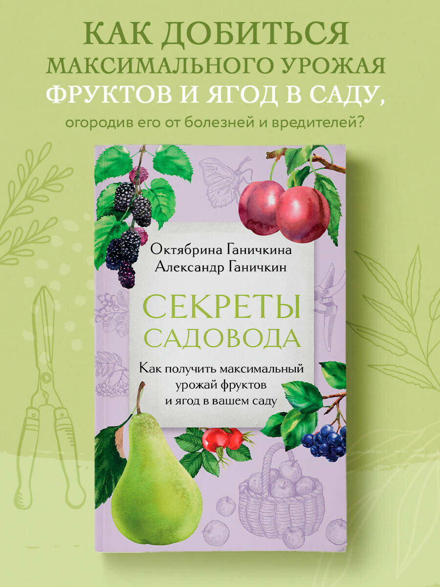 Секреты садовода  Как получить максимальный урожай фруктов и ягод в вашем саду