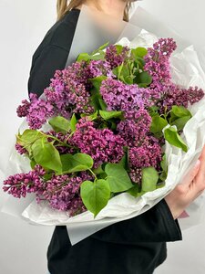 Основная фотография от вендора