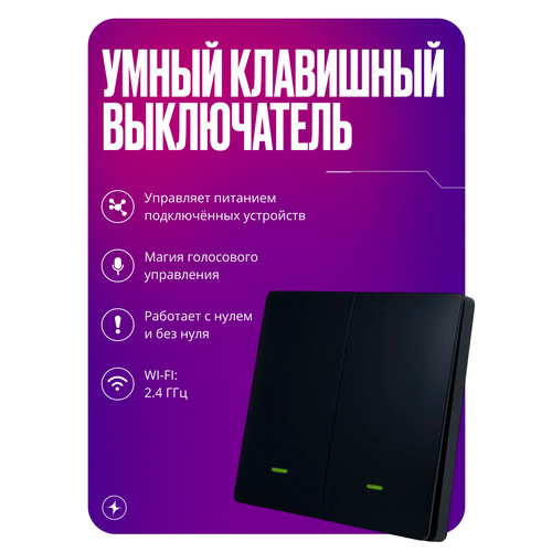 фото Умный выключатель wi-fi, двухклавишный, черный, с подсветкой, импульсный, с нулем и без нуля, умный дом izba tech