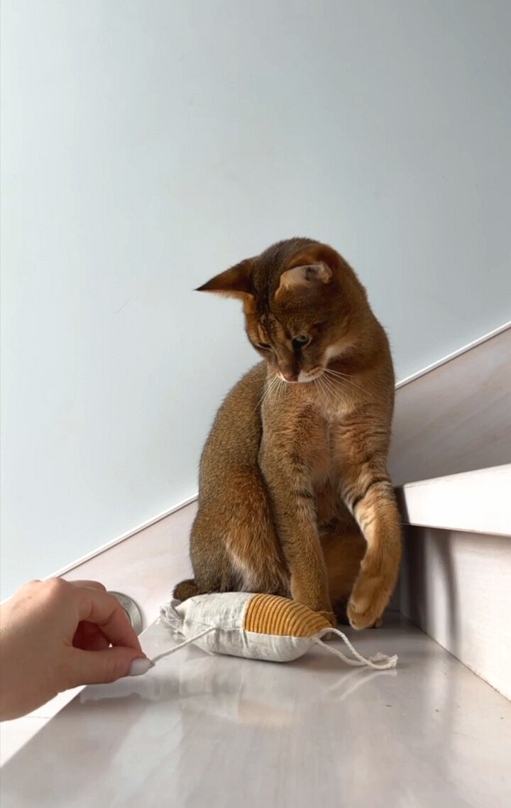 Игрушка для кошек AHTEЙKA Мышка с кошачьей мятой и погремушкой