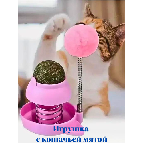 Игрушки для кошки, котят с кошачьей мятой, дразнилка на пружинке