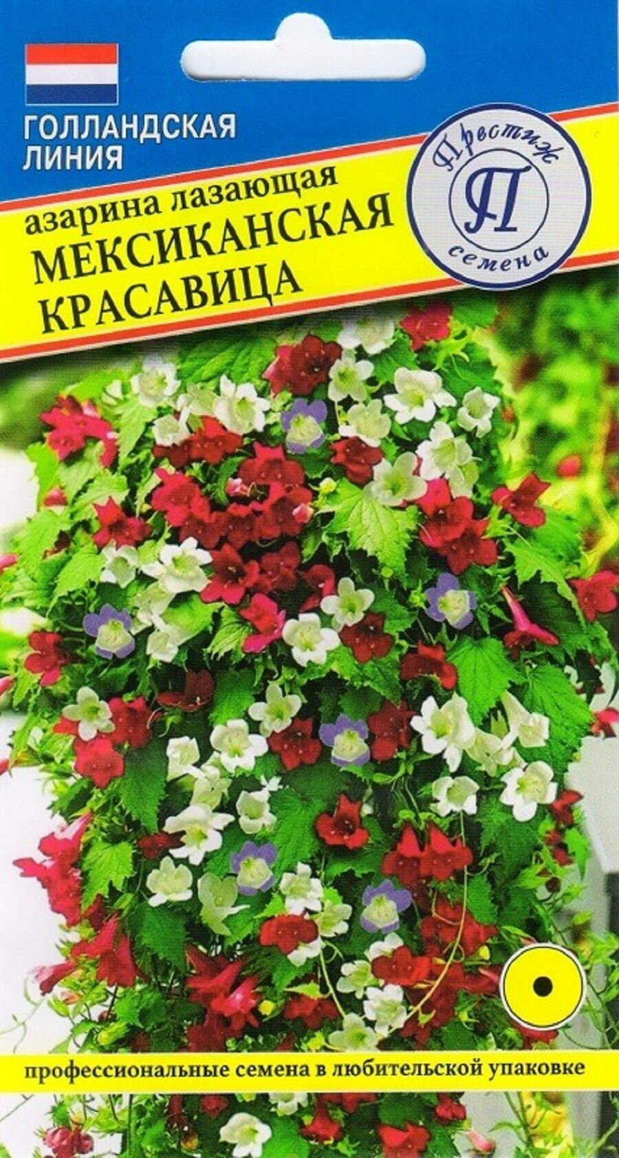 Азарина Мексиканская красавица 5 семян/ Престиж