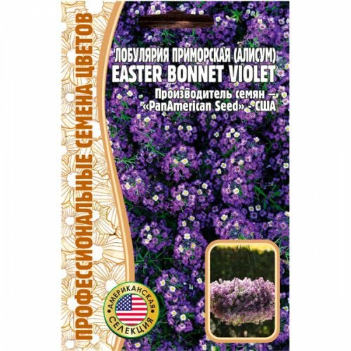 Алиссум (лобулярия) Easter Bonnet Violet 20шт (Профессиональные семена цветов)